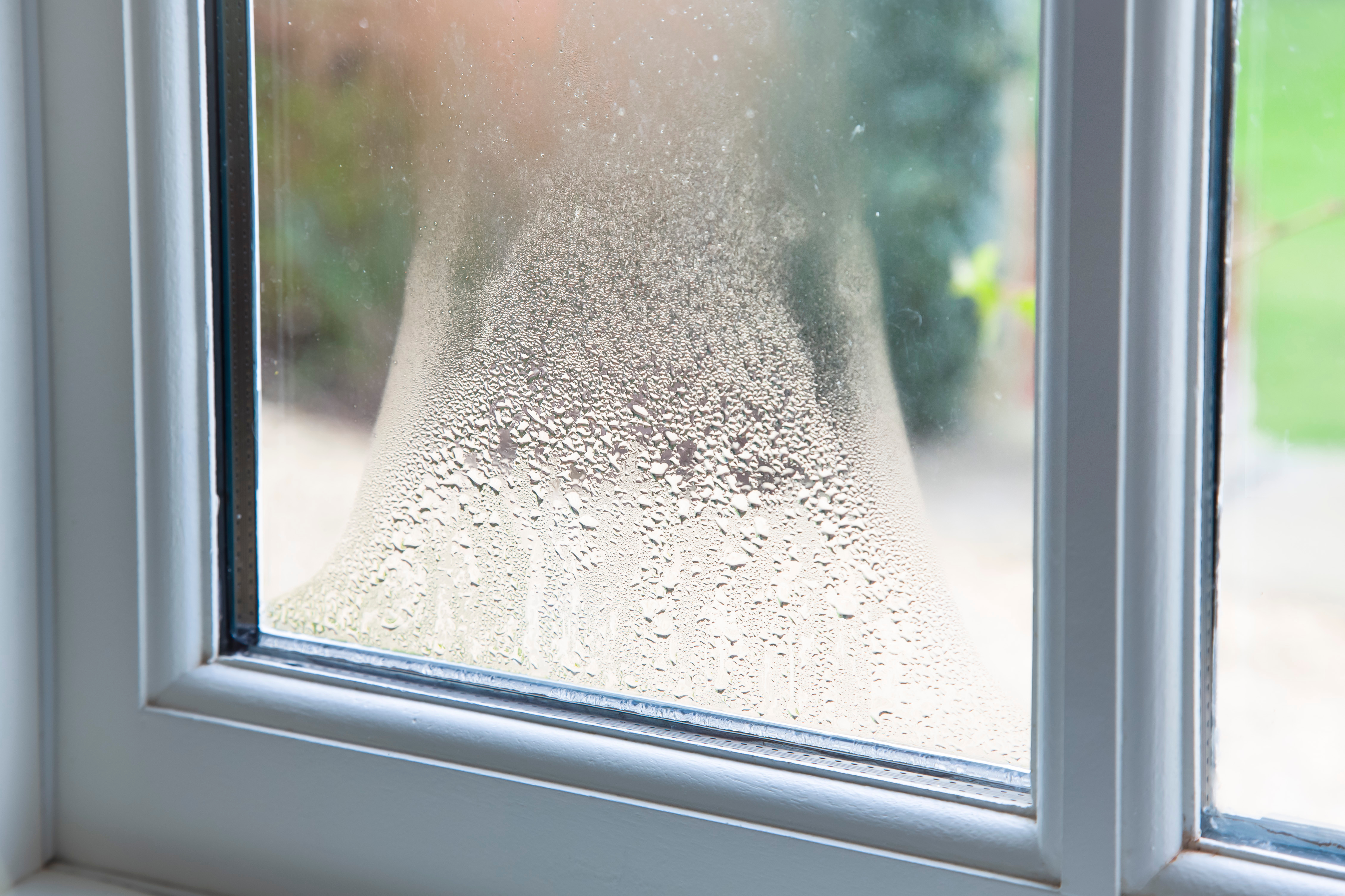 Close Up of Condensation Between Window Panes